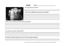 Kamel-Fragen-2.pdf